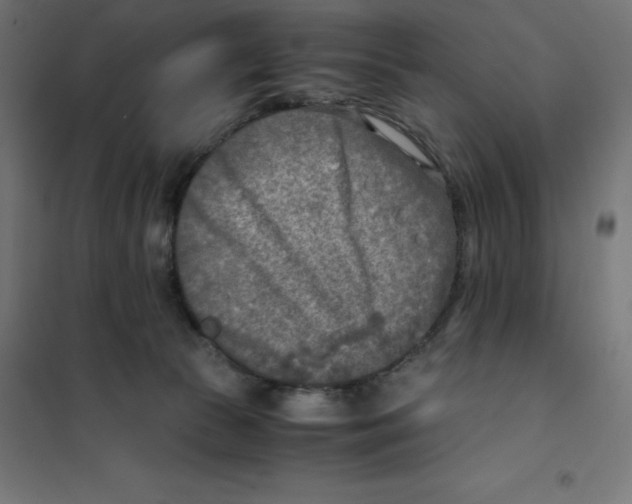 X0000101190177200807251010