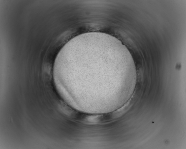 X0000101190178200807251010