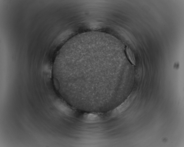 X0000101190180200807251011