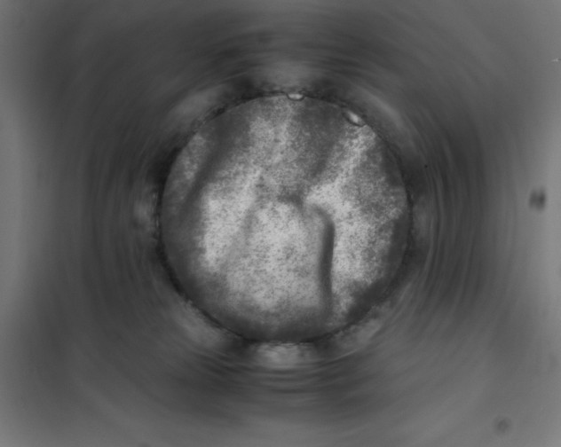 X0000101190181200807251011