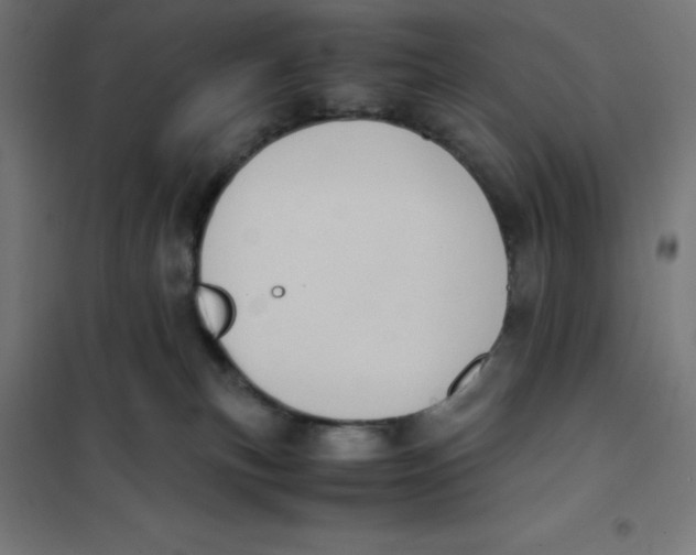X0000101190183200807251011