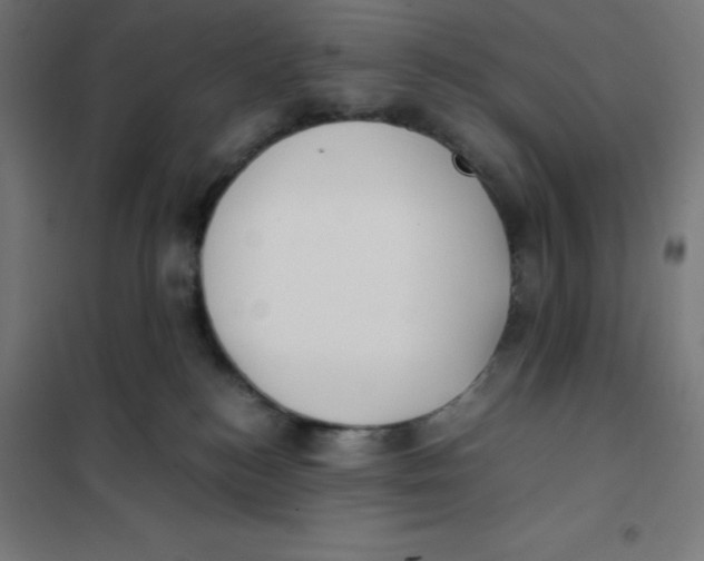 X0000101190184200807251011