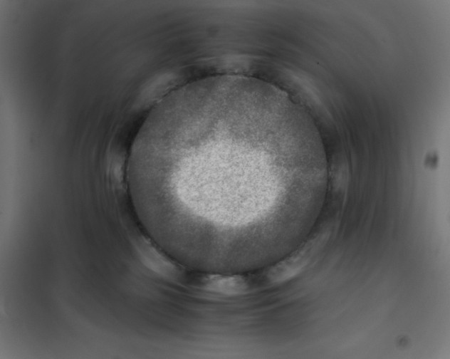 X0000101190185200807251011