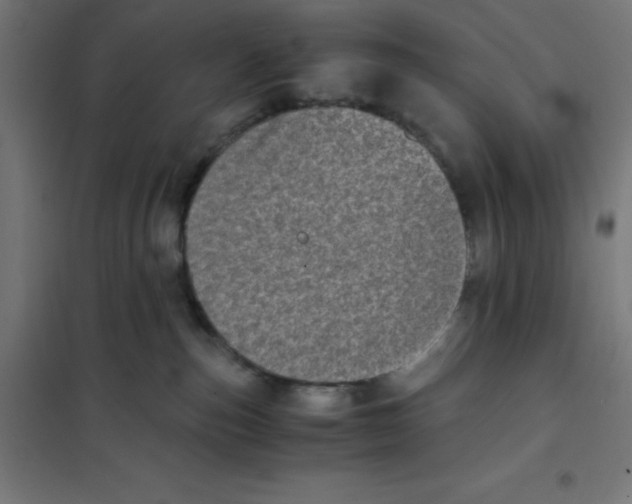 X0000101190187200807251011