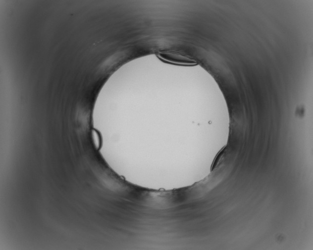 X0000101190188200807251011