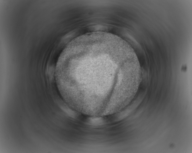 X0000101190189200807251011