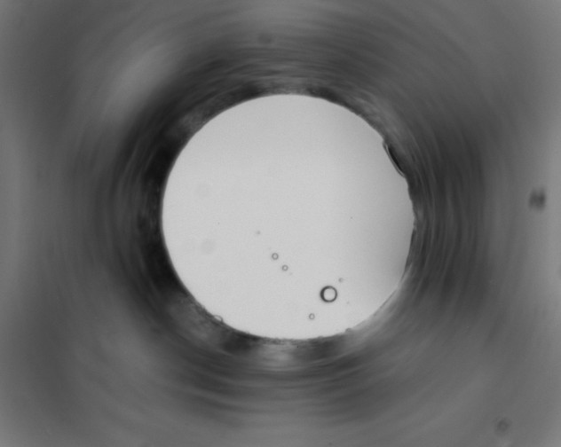 X0000101190190200807251011