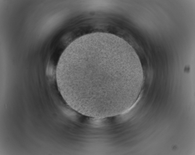 X0000101190191200807251011