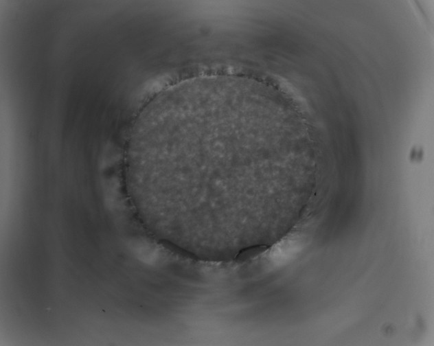 X0000101190192200807251011