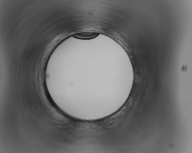 X0000101190193200807251010