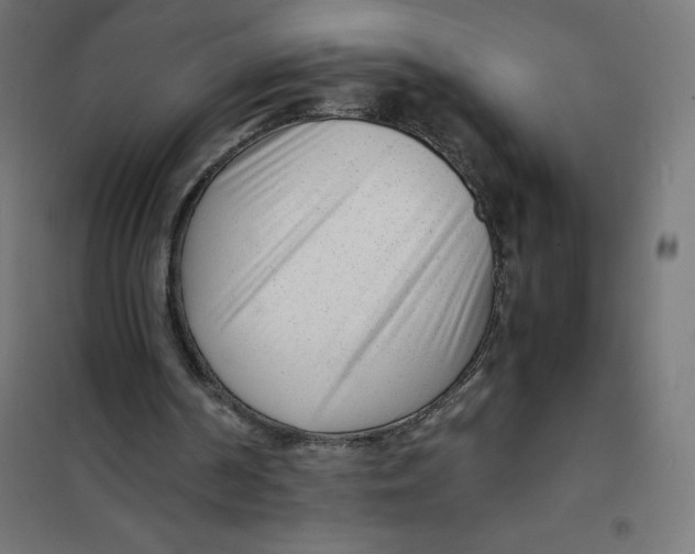 X0000101190194200807251010