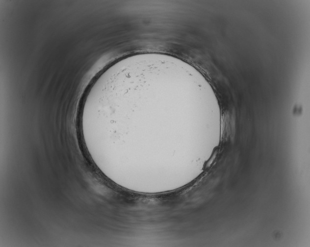 X0000101190195200807251010