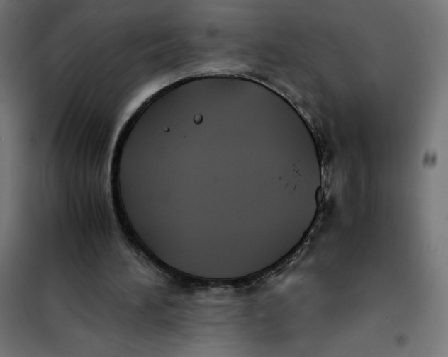 X0000101190196200807251010