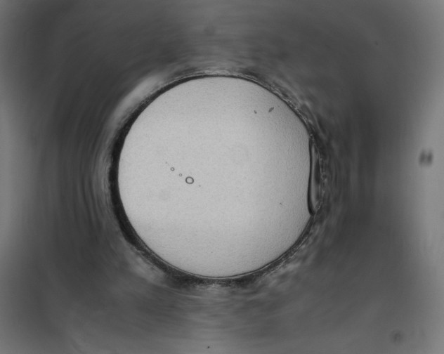 X0000101190197200807251010