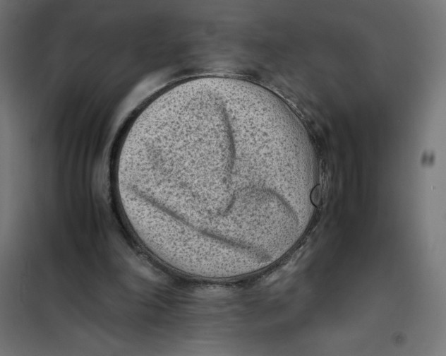 X0000101190198200807251010