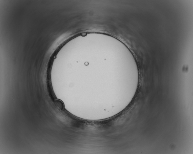 X0000101190199200807251010