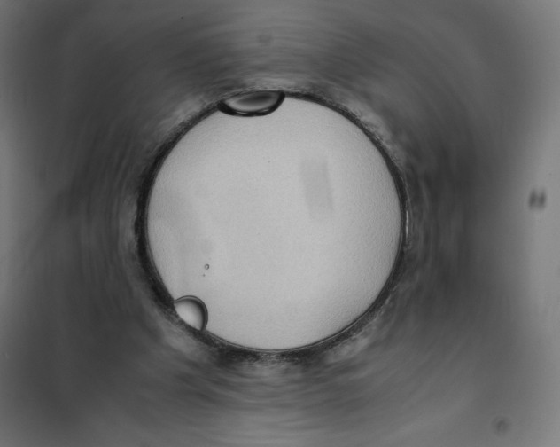 X0000101190201200807251010