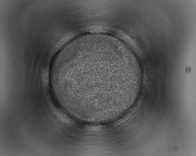 X0000101190202200807251010