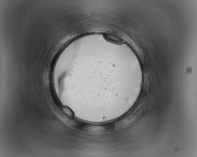 X0000101190203200807251010