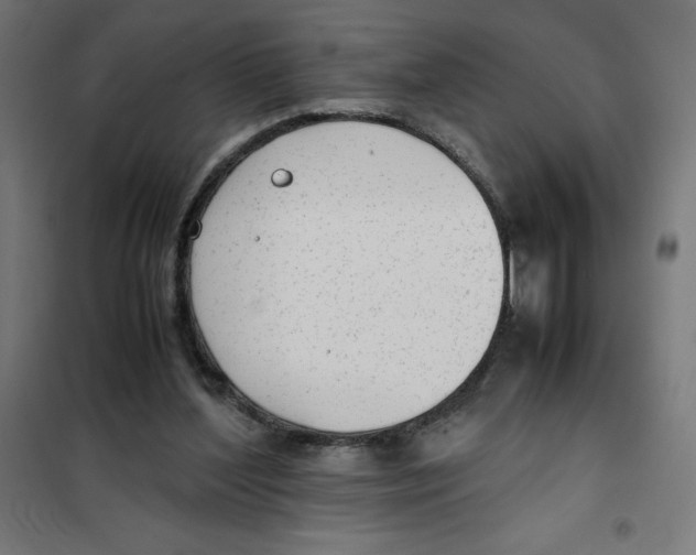 X0000101190204200807251010