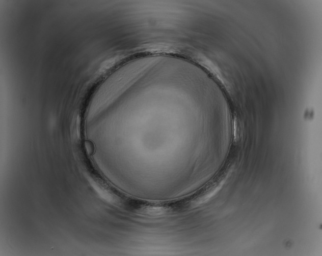 X0000101190205200807251010
