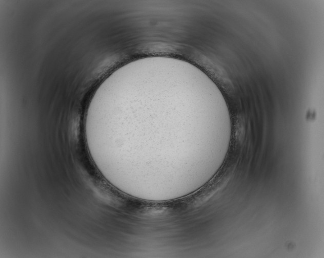 X0000101190206200807251010