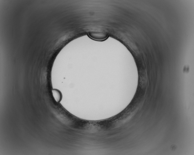 X0000101190207200807251010