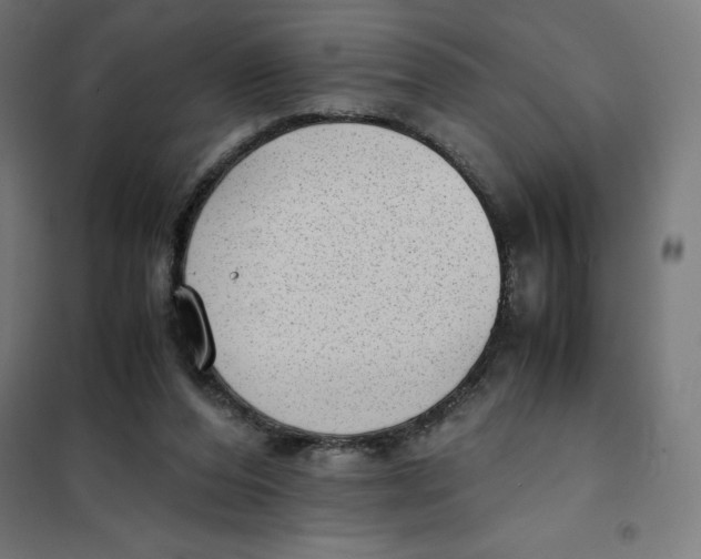 X0000101190208200807251010