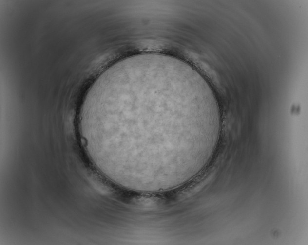 X0000101190209200807251010