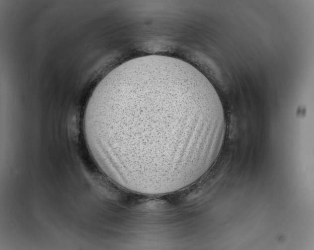 X0000101190210200807251010