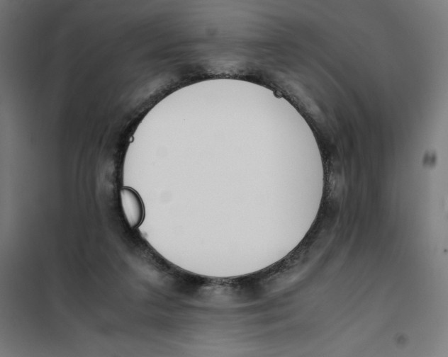 X0000101190211200807251010