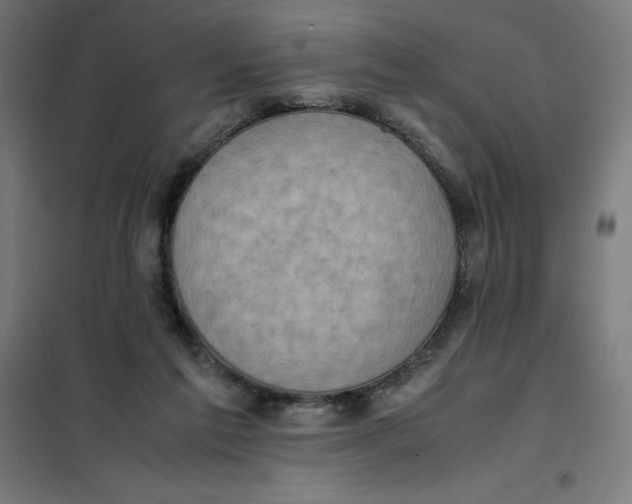 X0000101190213200807251010