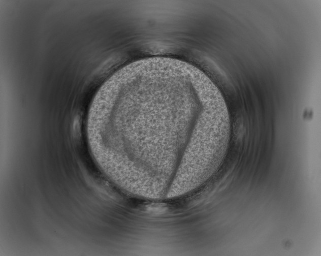 X0000101190214200807251010