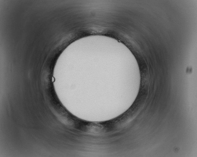 X0000101190215200807251010