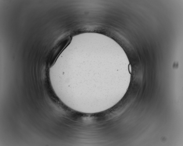 X0000101190216200807251010