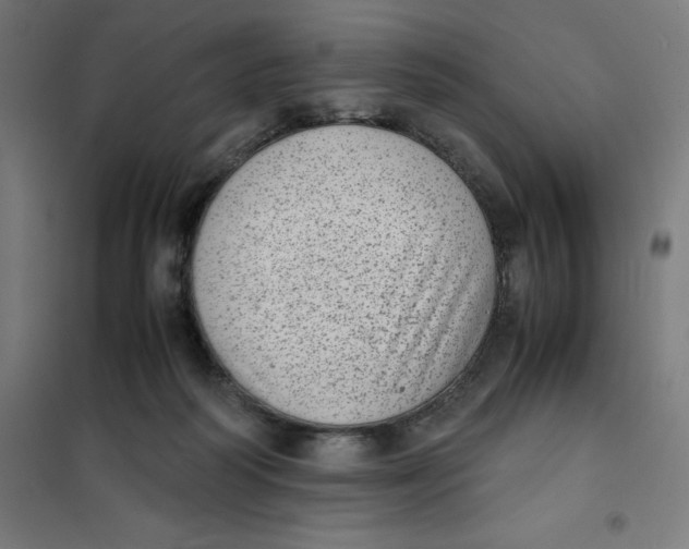 X0000101190218200807251010