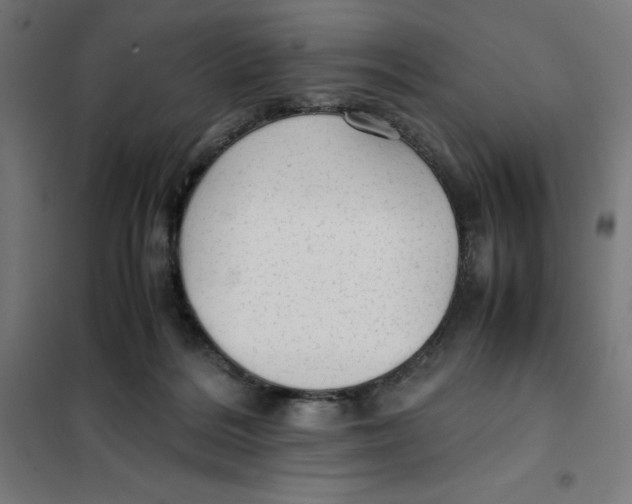X0000101190220200807251010