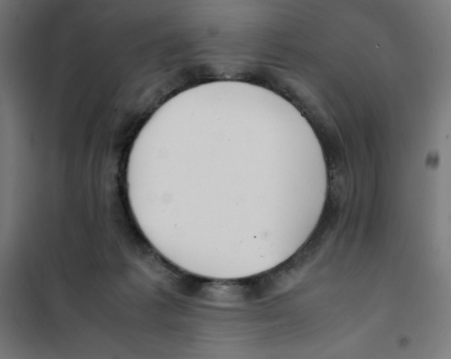 X0000101190221200807251010