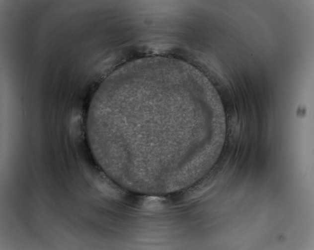 X0000101190222200807251010