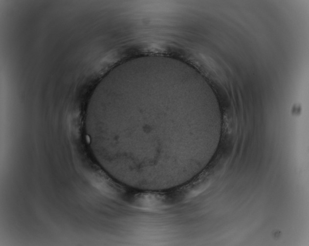 X0000101190223200807251010