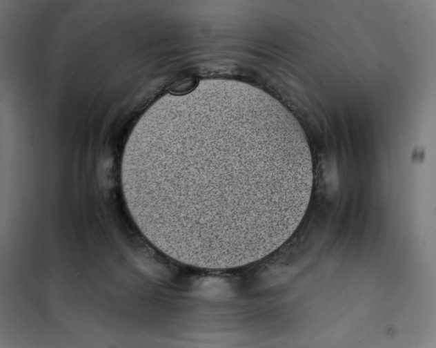 X0000101190224200807251010