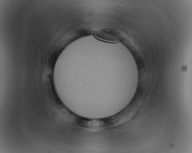 X0000101190225200807251010