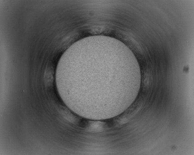 X0000101190226200807251010