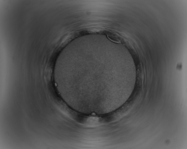 X0000101190227200807251010