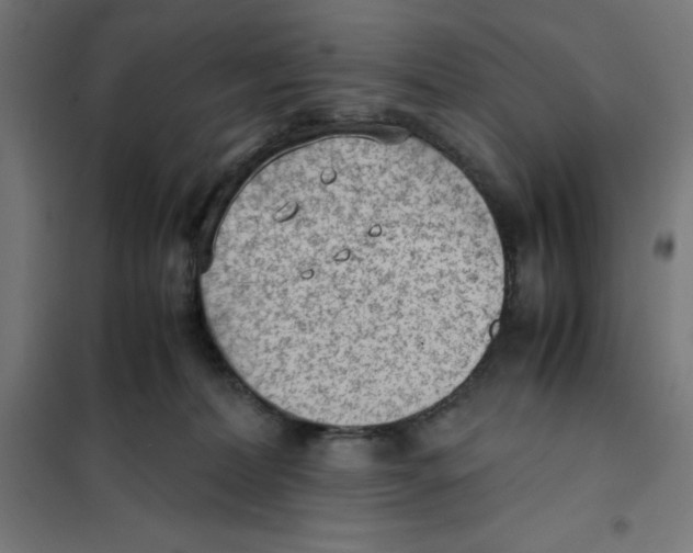 X0000101190228200807251010