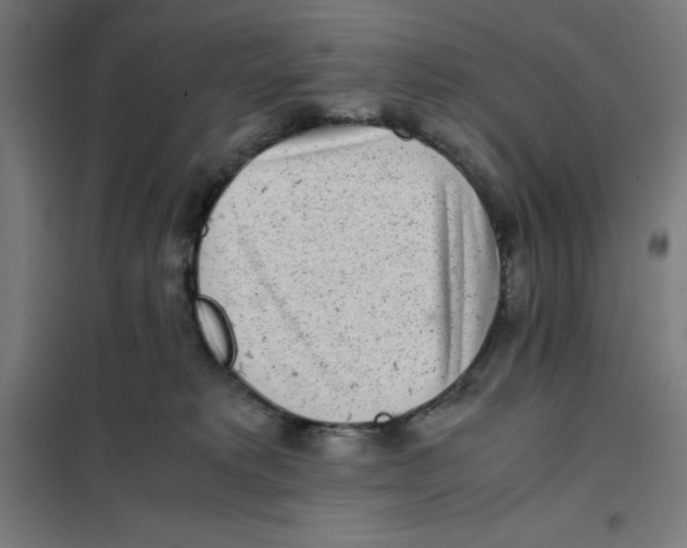 X0000101190229200807251010