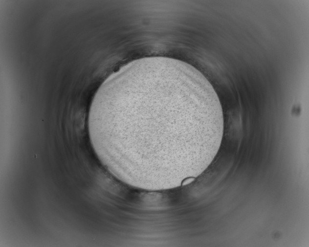 X0000101190230200807251010