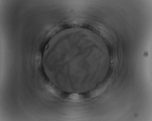 X0000101190231200807251010