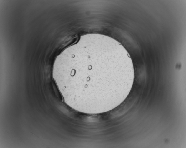 X0000101190232200807251009
