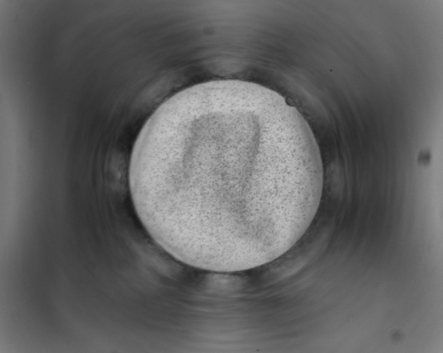 X0000101190234200807251009